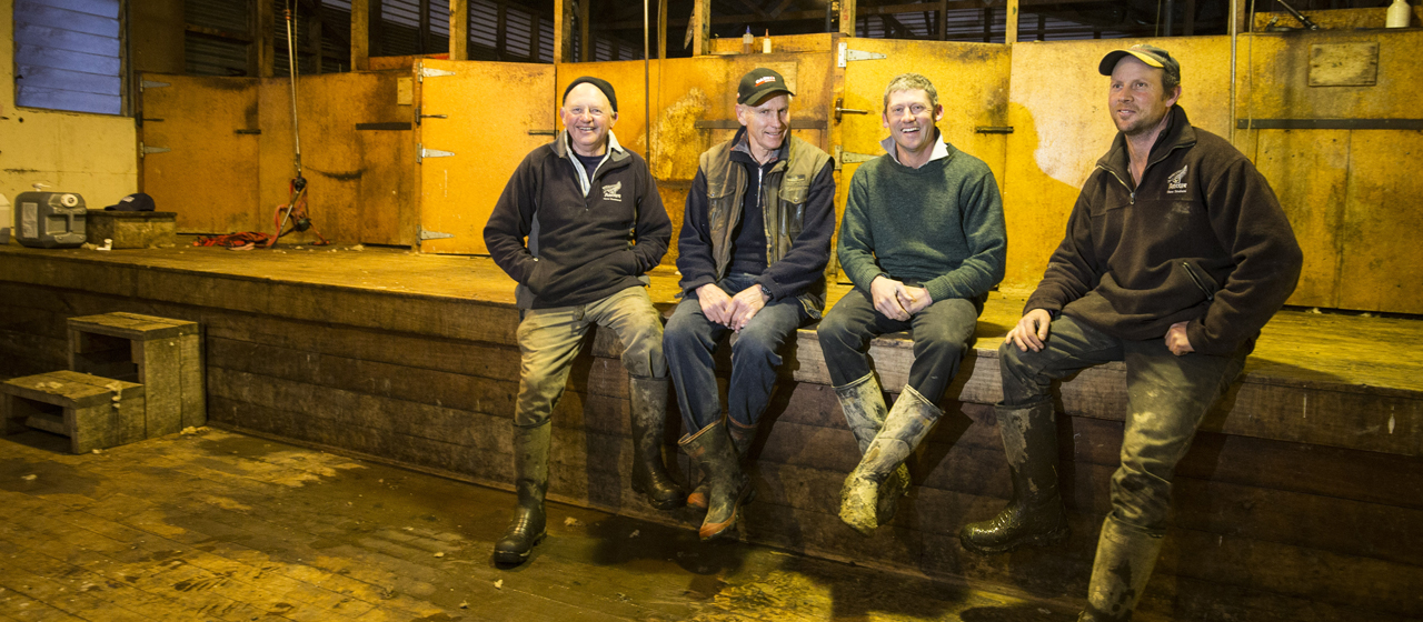 The Morrison farming Directors-CROP NZ BEEF & LAMB - Wairarapa and Manawatu Hawkes Bay, New Zealand, 23 June 2015. Photo by John Cowpland / alphapix
